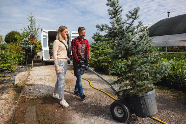 Best Tree Cutting Near Me  in USA